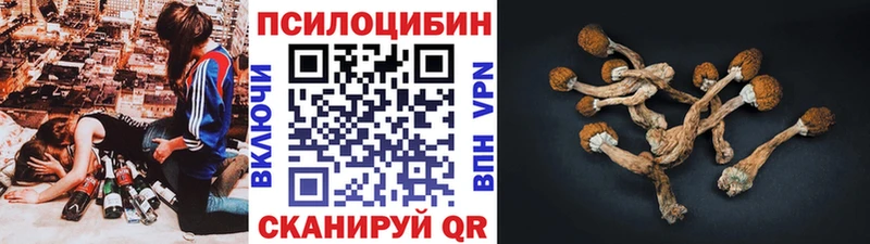 Псилоцибиновые грибы GOLDEN TEACHER Йошкар-Ола
